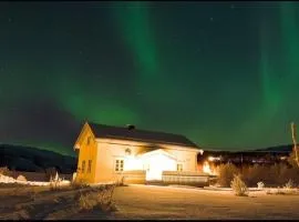 The house in Vika