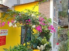 ỐC Homestay Cat Ba