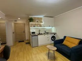 Orbi Deluxe Bakuriani Room 222