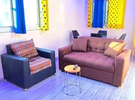 Chic Appart 1 chambre - centre ville - Wifi gratuit