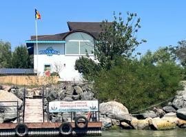 Casa de Vacanta Nufarul Crisan，位于图尔恰的酒店