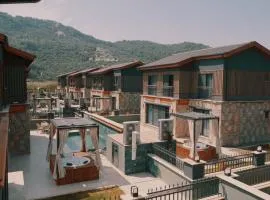 champion villas