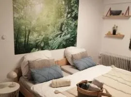 Quiet location in Schönau, free parking, balcony