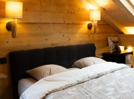 La Rose des neiges à Châtel，位于沙泰勒的酒店