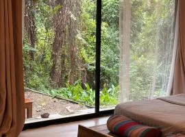 Lakehouse in the Old Rainforest