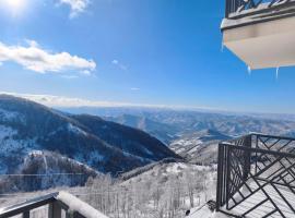 Lawa Apartments Kopaonik，位于Cajetina的酒店