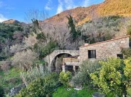 Villa Olive Mill Terra Rossa