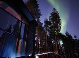 Owl's Nest Chalet，位于伊纳利的酒店