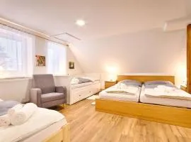 Ubytování NA KOVÁRNĚ JILEMNICE - HRABAČOV 786