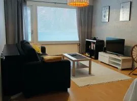 Peaceful and spacious apartment with free parking