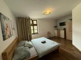 Apartmány Karlov dvor