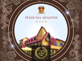 Pensiunea Mușatinii，位于普特纳的酒店