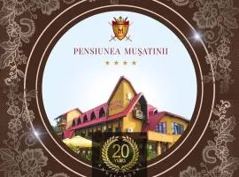 Pensiunea Mușatinii