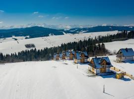 Osada Dursztyn- Przystanek Podhale，位于Białka Tatrzanska的酒店