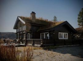 Great mountain cabin with 12 beds，位于Vågsli的酒店