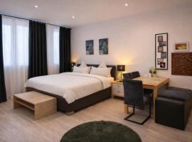 Pension Stadt Mannheim，位于曼海姆的酒店