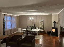 Downtown 3-bedroom apartment