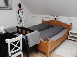 1st floor 2 rooms with kitchenette，位于Store Heddinge的酒店