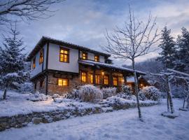Traditional Cottage - Vila Samovila，位于Delčevo的酒店