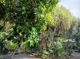 Résidence Les MANGUIERS OTANTIK