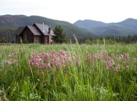 Homestake Lodge，位于Whitehall的山林小屋