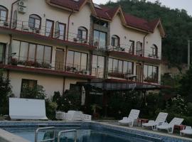 Cabana Delfinul - Cazanele Dunarii，位于(( Plavişeviţa ))的酒店