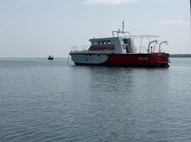 Cozy apartment in central Copenhagen，位于海莱乌的酒店