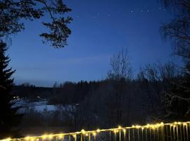 Villa Mustikkamaa，位于Lohja的酒店