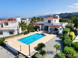 Villa Olive View