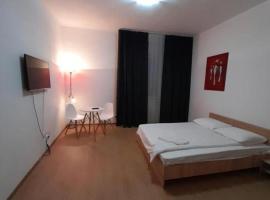 Unirii Square Apartament，位于蒂米什瓦拉的酒店