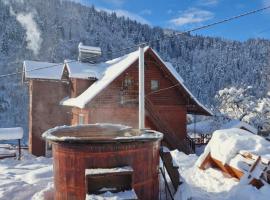 Pensiunea Cabana Viselor ,Apuseni，位于Vadu Moţilor的酒店