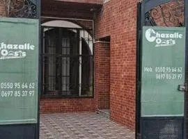 Gazalle Oasis