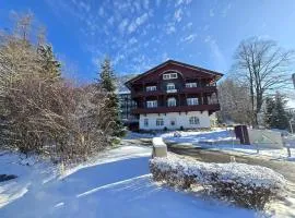 舒尼贝尔格霍夫酒店