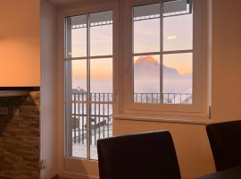 Panorama Appartement am Mühlbachberg，位于特劳恩基兴的酒店