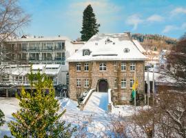 鲁特斯公园酒店，位于维林根的酒店