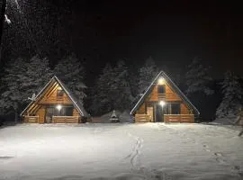 ROMANIJA vikendice