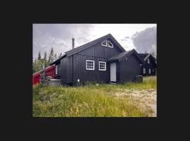 Hytte på Norefjell