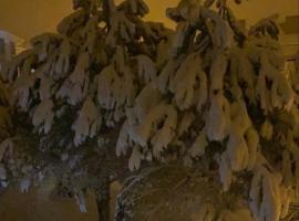 Starmax City Hotel's YALOVA，位于亚洛瓦的酒店