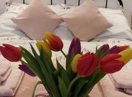 The Snug，位于Haddenham的酒店