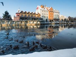 奈达比萨酒店，位于皮什的酒店