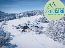 Hotel Hirschenstein，位于阿赫斯拉赫的酒店