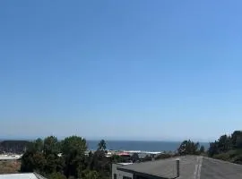 Cabañas Vitalis, curanipe