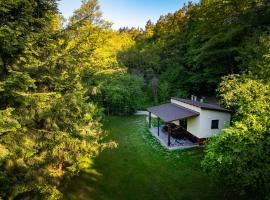 Vízfő Kabin，位于Sály的酒店