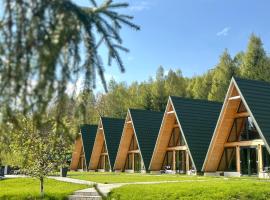 A Frames By Pensiunea Merișor，位于拉奇特勒的酒店