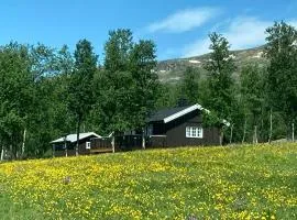 Simple Mountain Cabin Near Vinstra