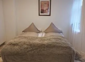 Cozy Apartment Herning Center- Pedestrian Street