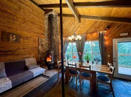 Mountain Cabin at Heavenly，位于斯德特莱恩的酒店