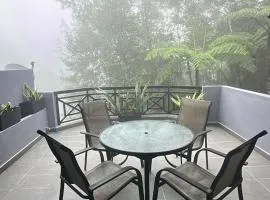 Fraser's Haven SilverparkResort Walk down 8 steps