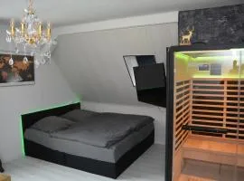 Appartement am Diemelsee Infrarotsauna inklusive