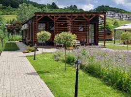 Georgia Tiny House - Hiperbara Livezeni Mures，位于Livezeni的小屋